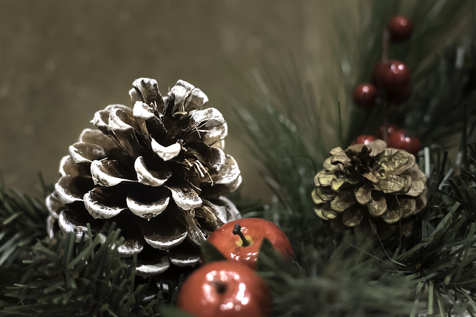 Nikon D810 sample photo. Winter, still life, pinecone photography