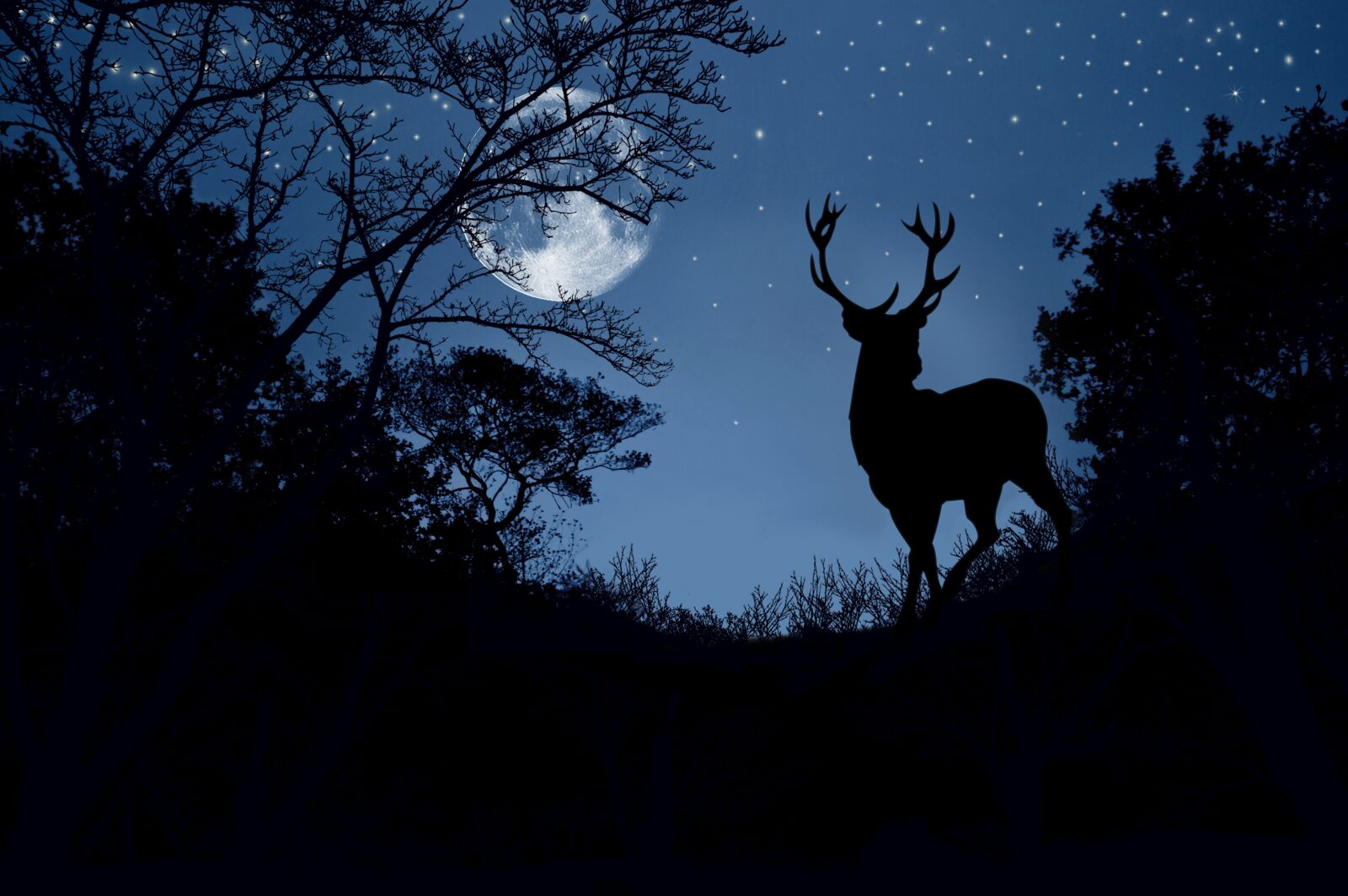 Nikon D3200 sample photo. Landscape, hirsch, moon photography