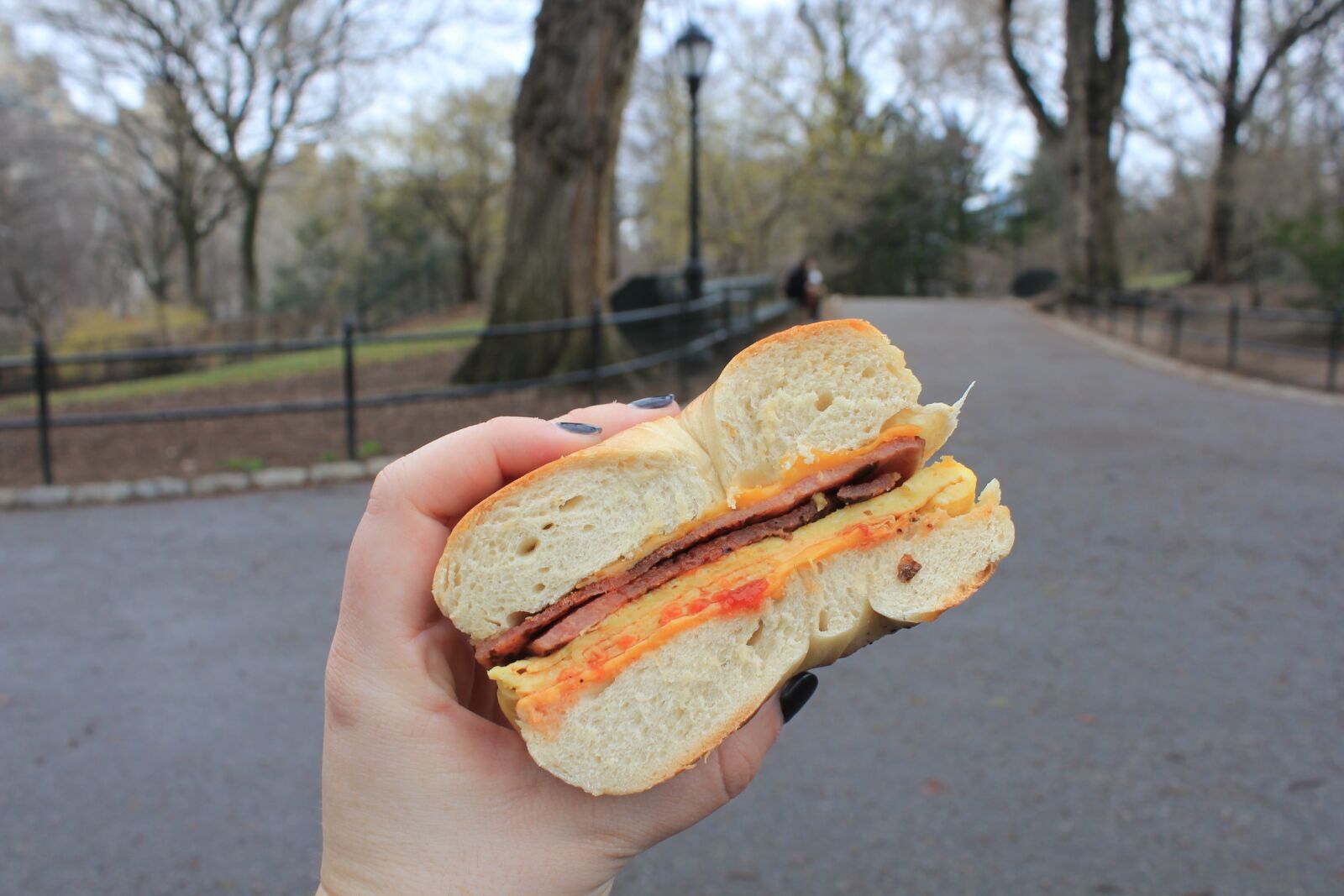Canon EOS 550D (EOS Rebel T2i / EOS Kiss X4) sample photo. Bacon egg and cheese photography