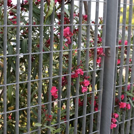 Canon EOS 6D + Canon EF 50mm F1.4 USM sample photos - ExploreCams