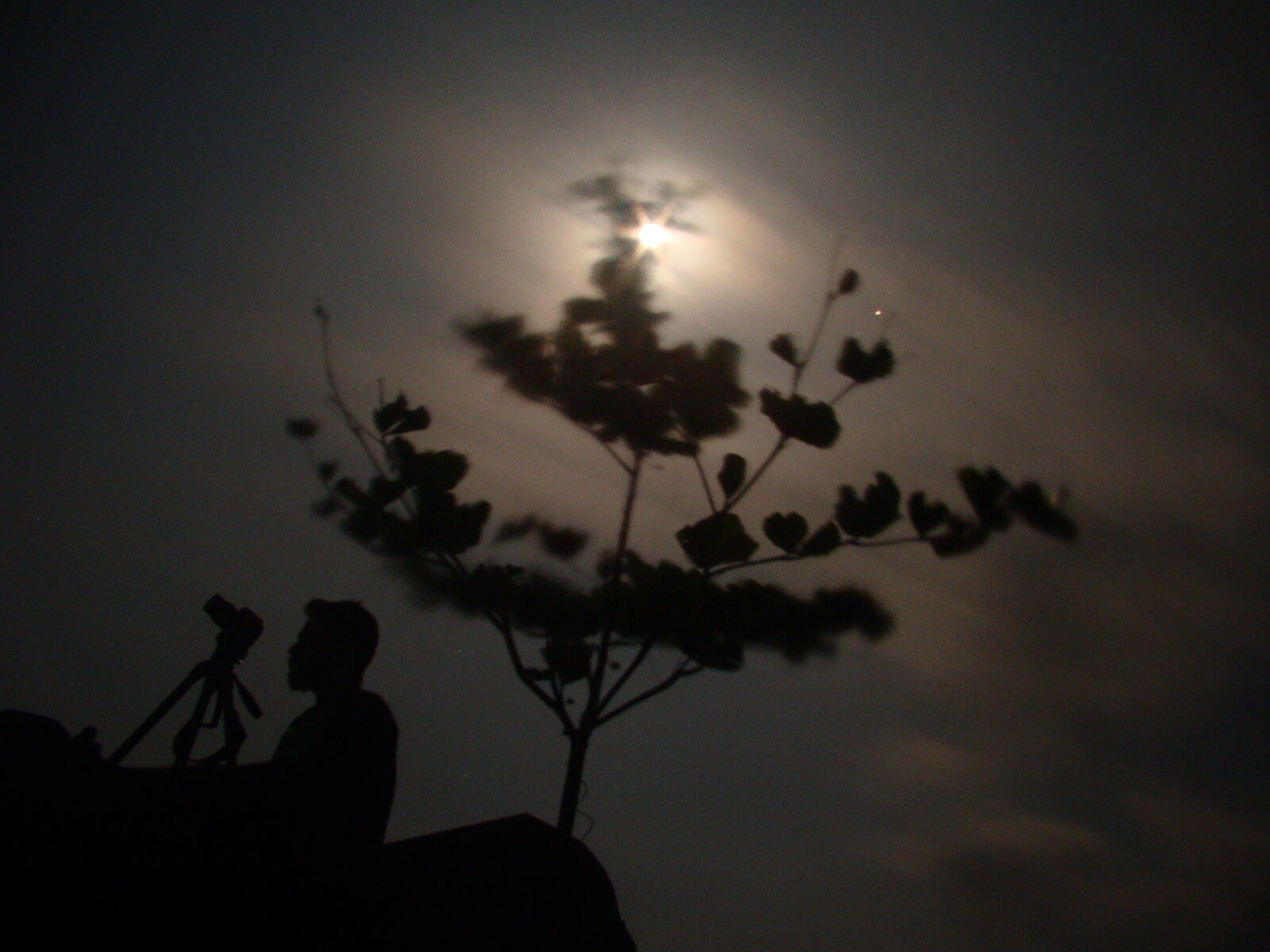 Sony Cyber-shot DSC-H50 sample photo. Moonlight, photography photography