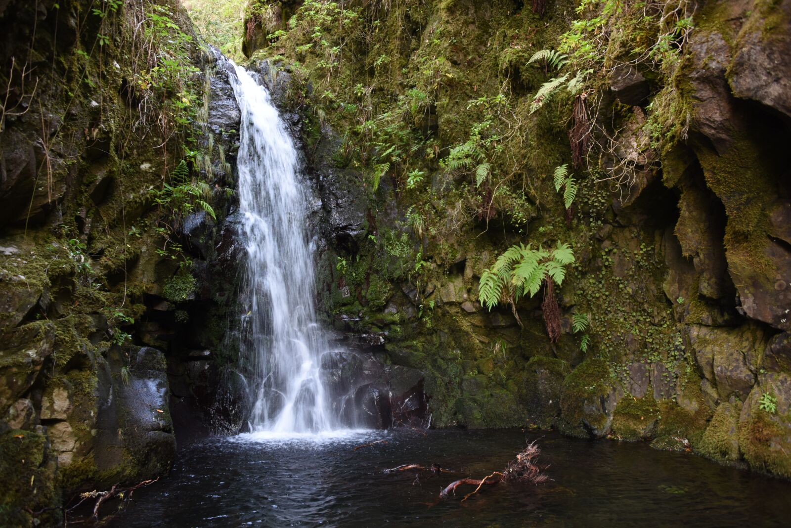 Nikon D810 sample photo. Madeira, waterfall, lake photography