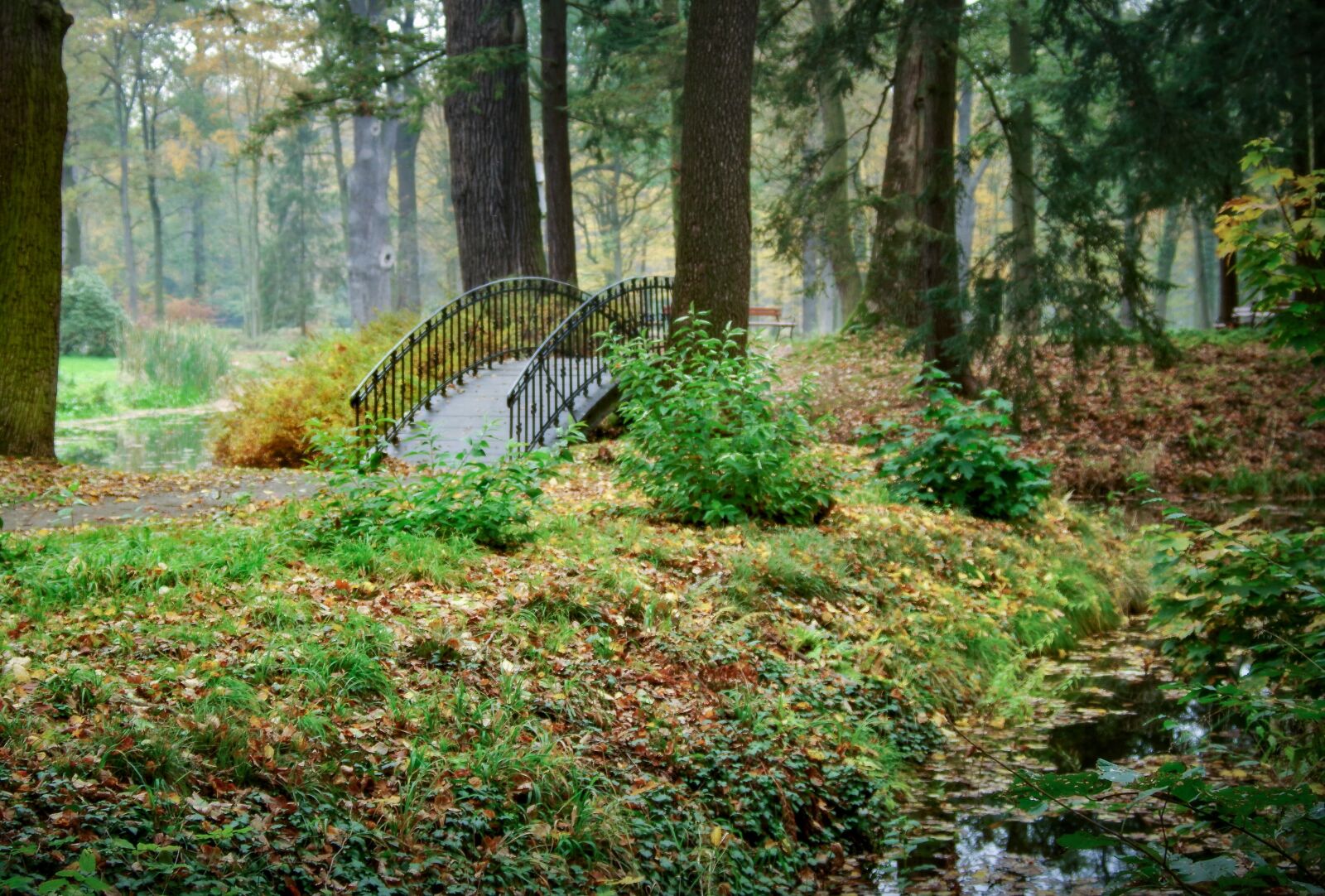 Pentax K-S2 sample photo. Romantic bridge, park, forest photography