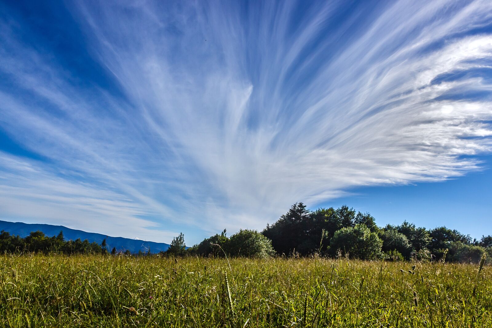 Canon EOS 600D (Rebel EOS T3i / EOS Kiss X5) sample photo. Sky, clouds, nature photography