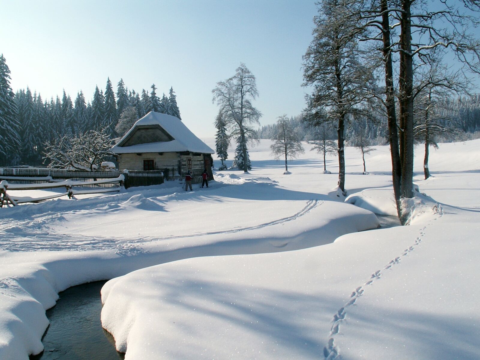 KONICA MINOLTA DiMAGE Z3 sample photo. Snow, country, cold photography