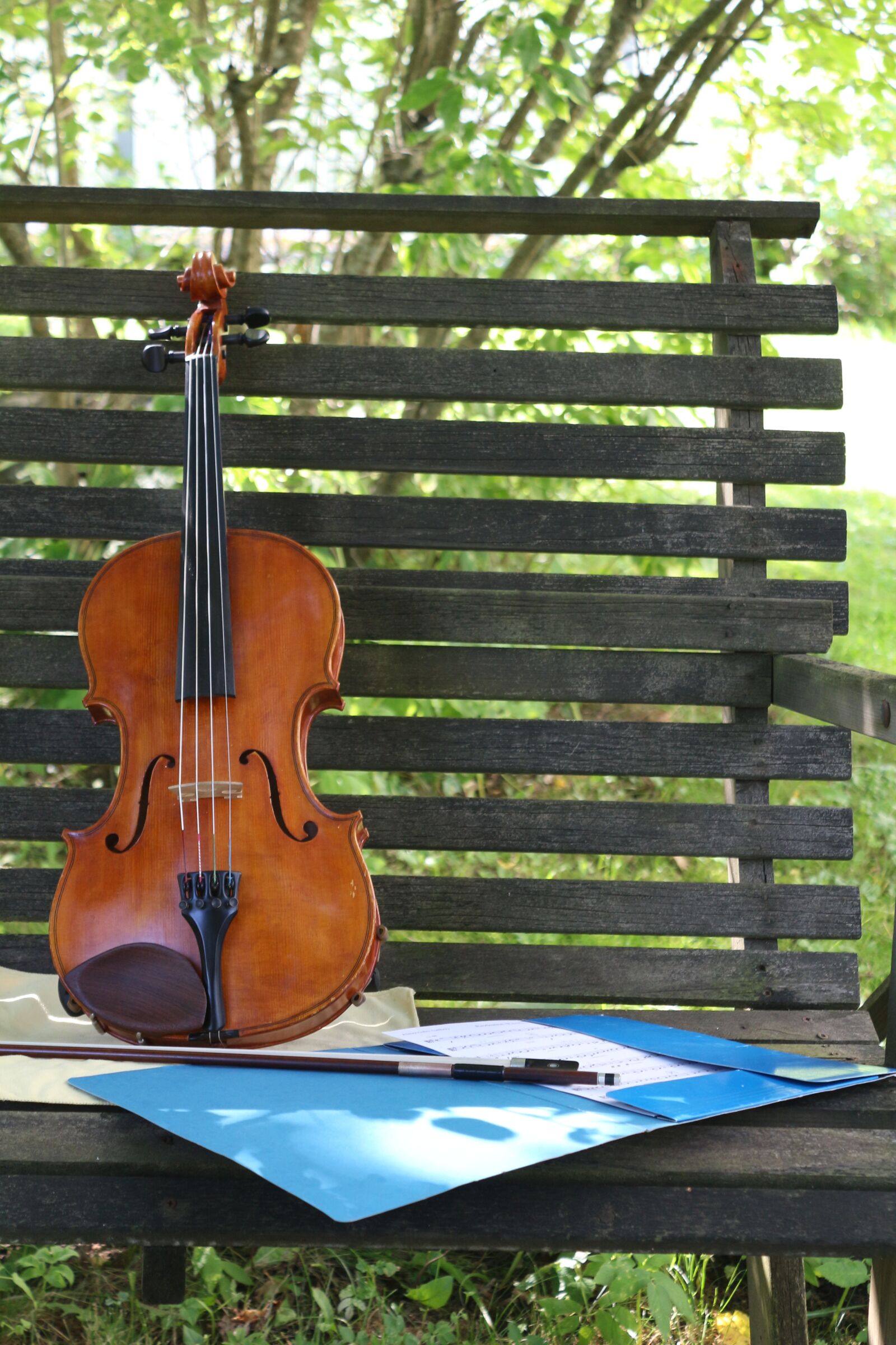 Canon EOS 100D (EOS Rebel SL1 / EOS Kiss X7) sample photo. Viola, violin, summer photography