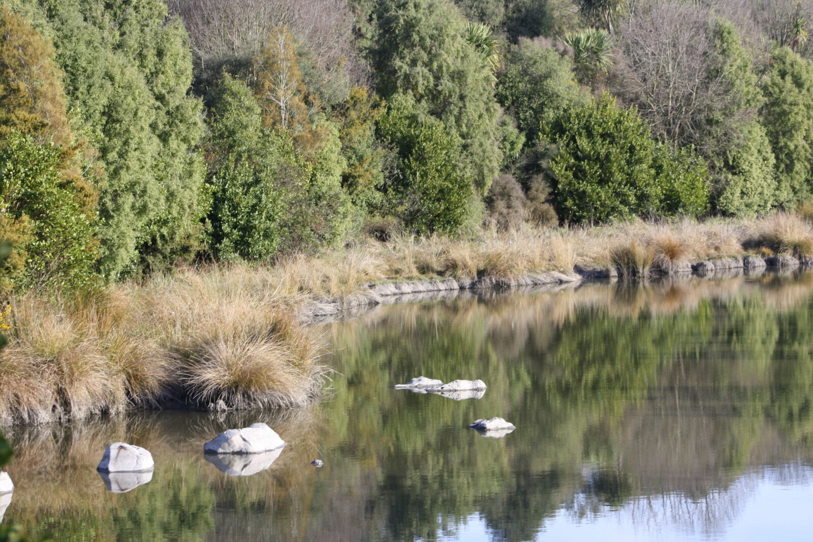 Canon EF 75-300mm f/4-5.6 sample photo