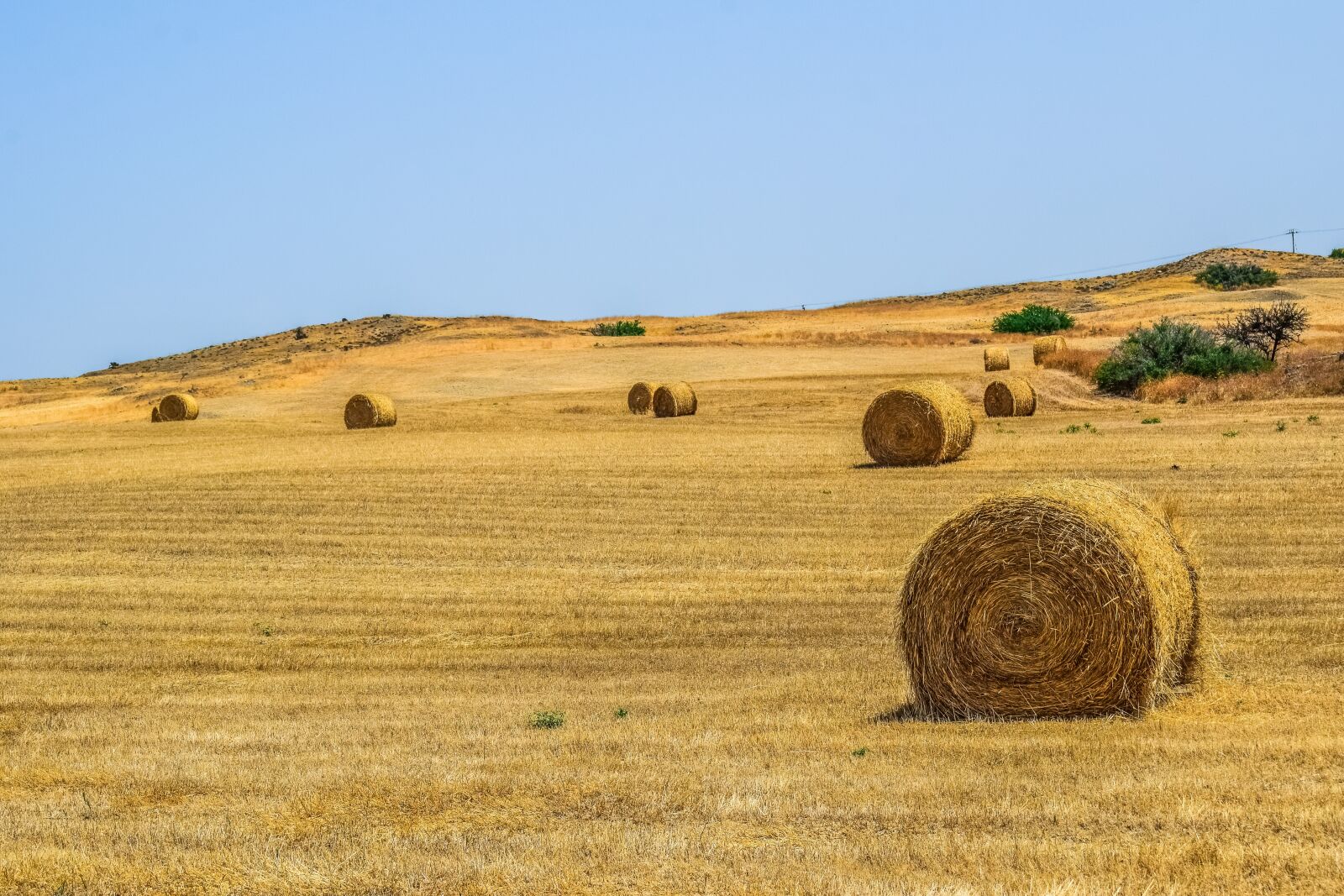 Nikon D3300 sample photo. Landscape, dry, sky photography