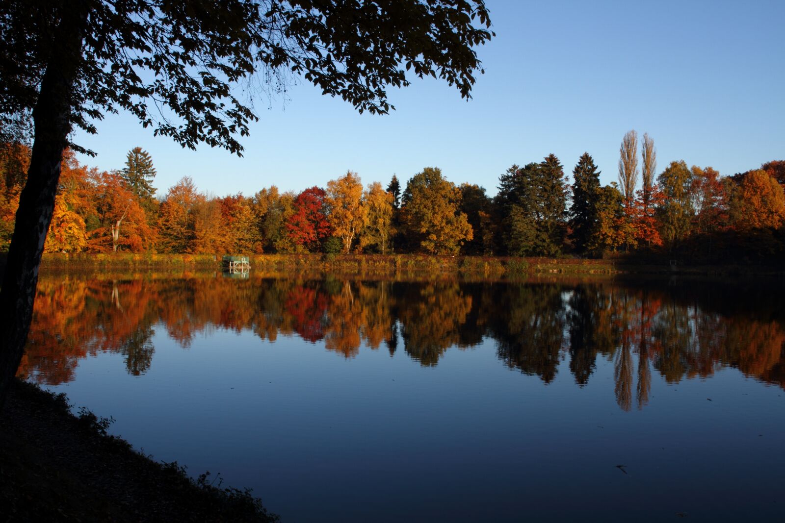 Canon EOS 7D sample photo. Autumn, trees, lake photography