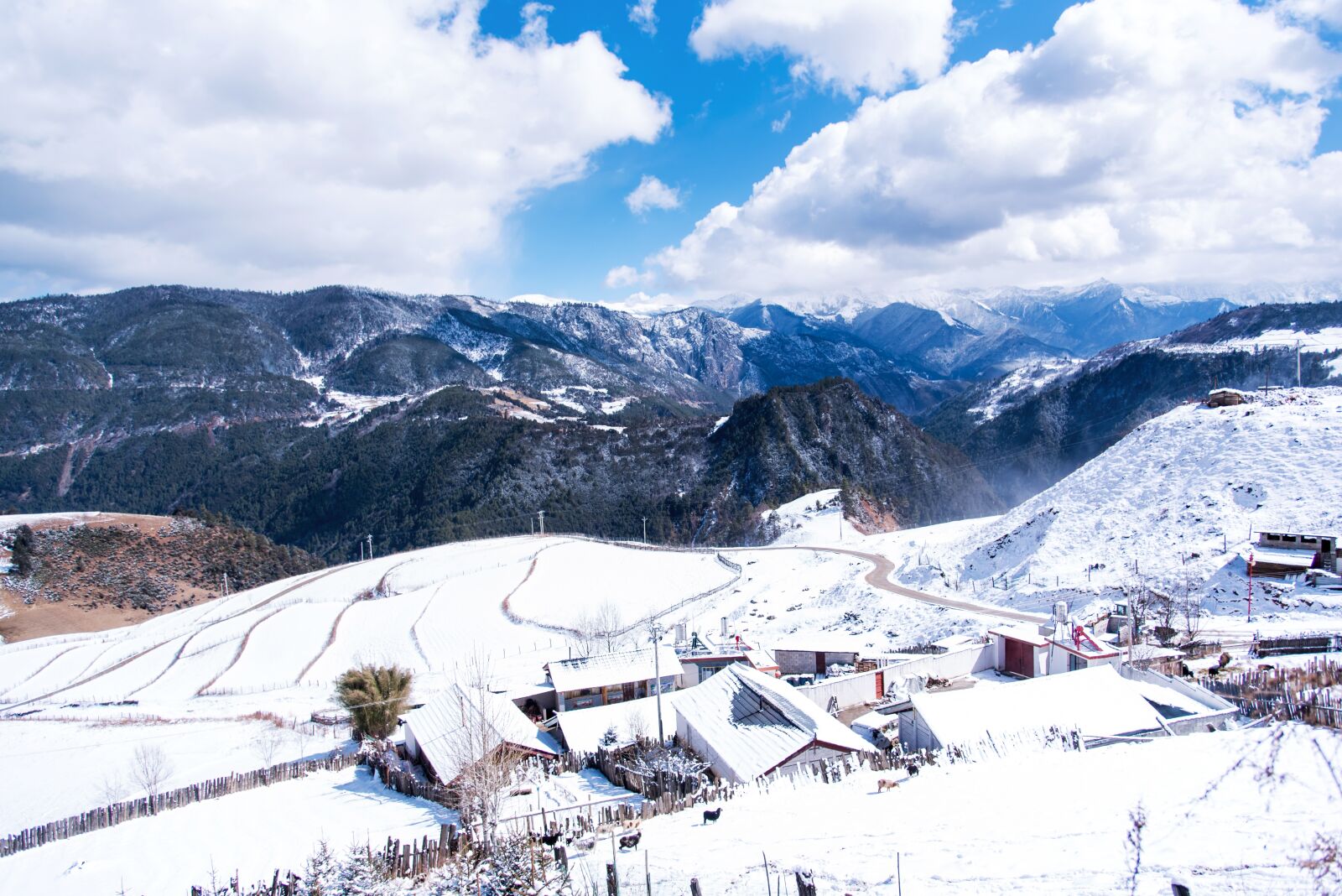 Nikon D750 sample photo. In yunnan province, china photography