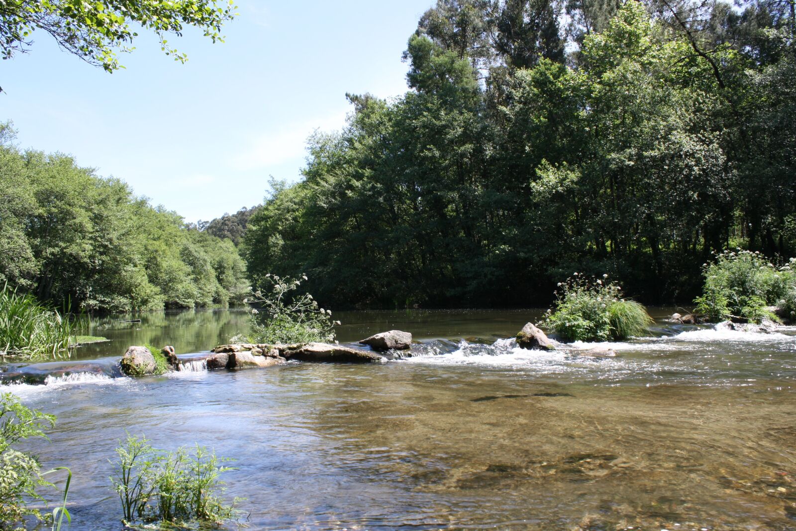 Canon EOS 1000D (EOS Digital Rebel XS / EOS Kiss F) sample photo. Rio, agua, nature photography