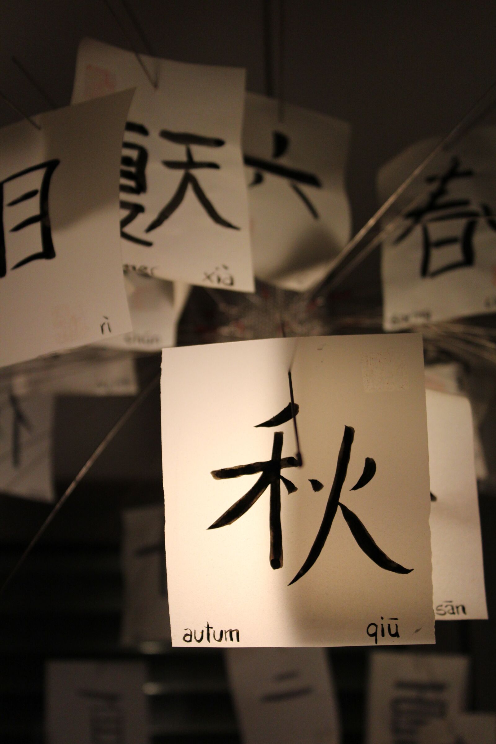 Canon EOS 600D (Rebel EOS T3i / EOS Kiss X5) sample photo. Chinese, characters, autumn photography