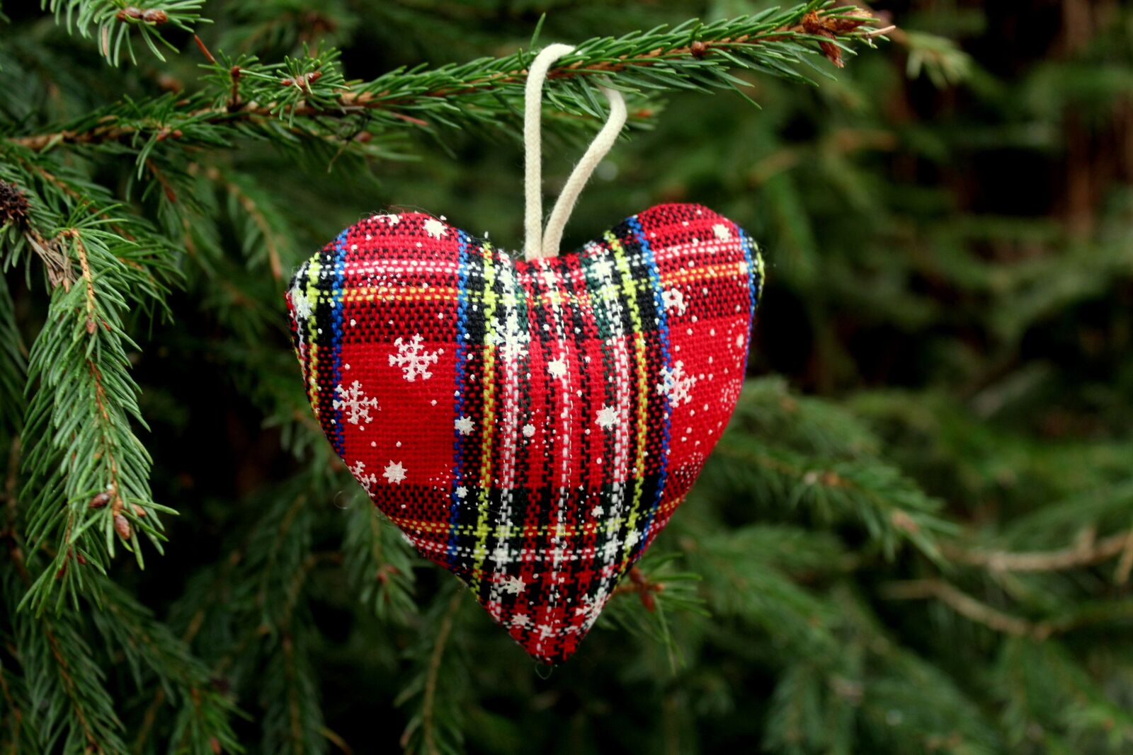 Canon EOS 1200D (EOS Rebel T5 / EOS Kiss X70 / EOS Hi) sample photo. Heart, tree, christmas tree photography