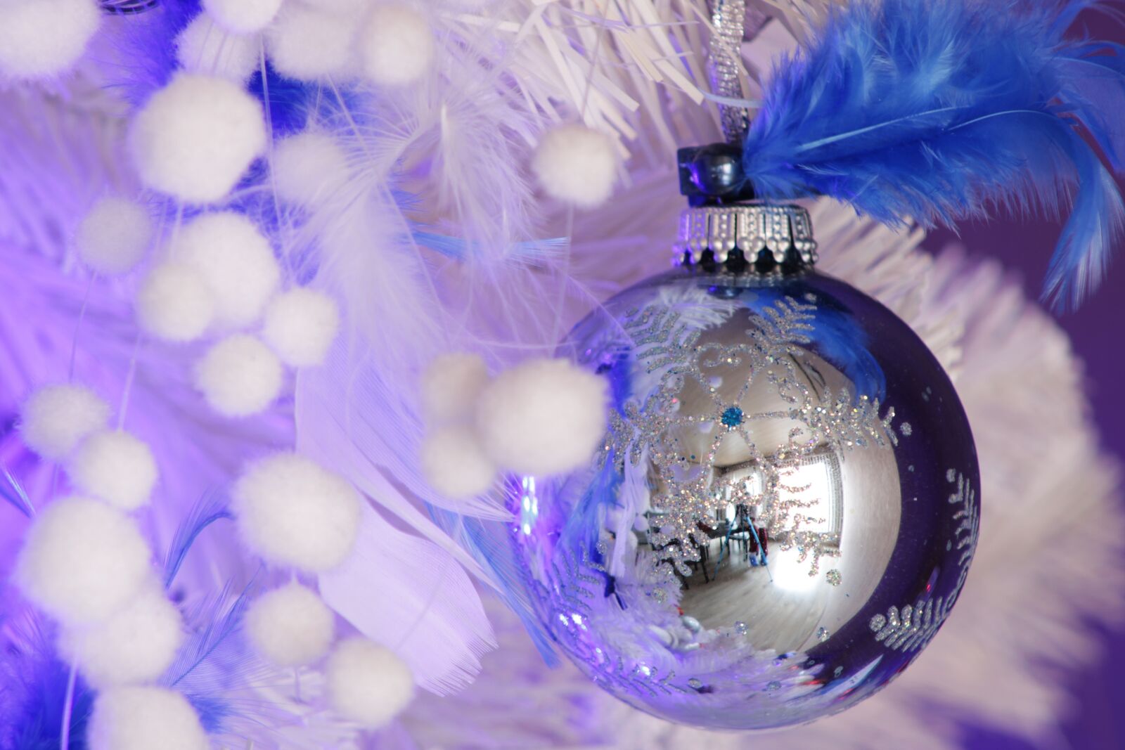 Canon EOS 2000D (EOS Rebel T7 / EOS Kiss X90 / EOS 1500D) sample photo. Christmas background, blue, christmas photography