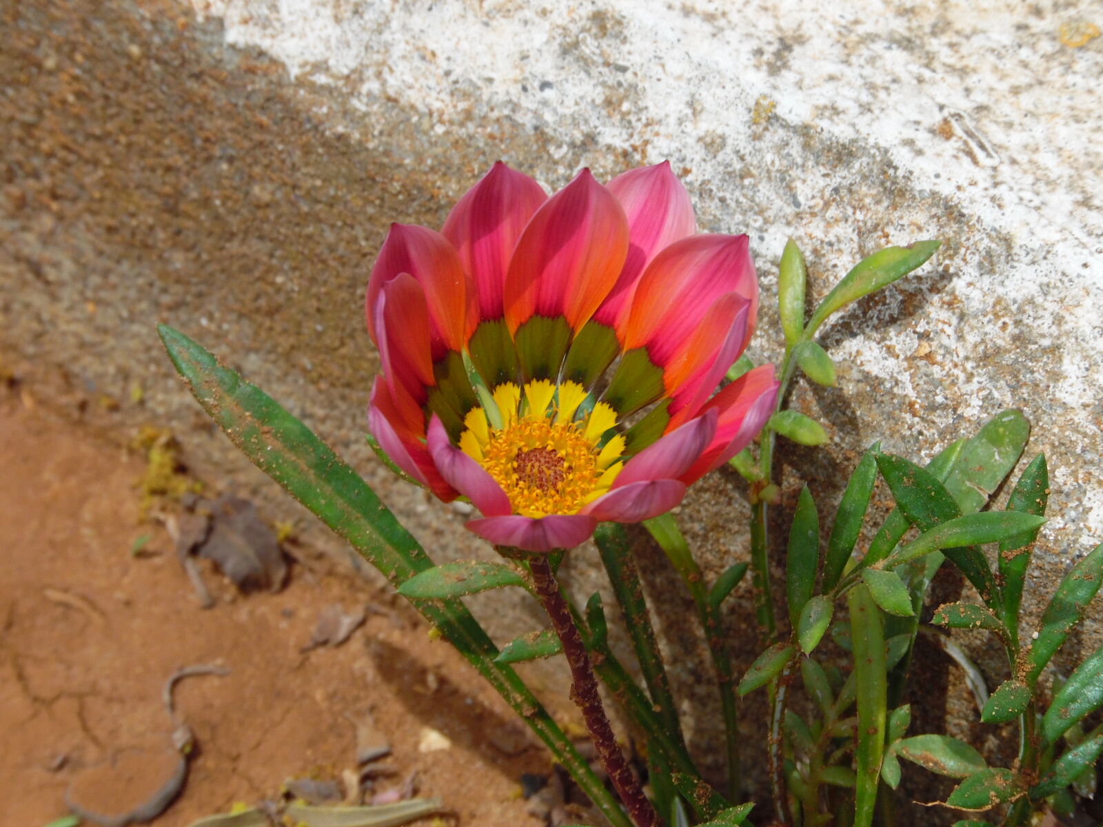 Samsung WB1100F/WB1101F/WB1102F sample photo