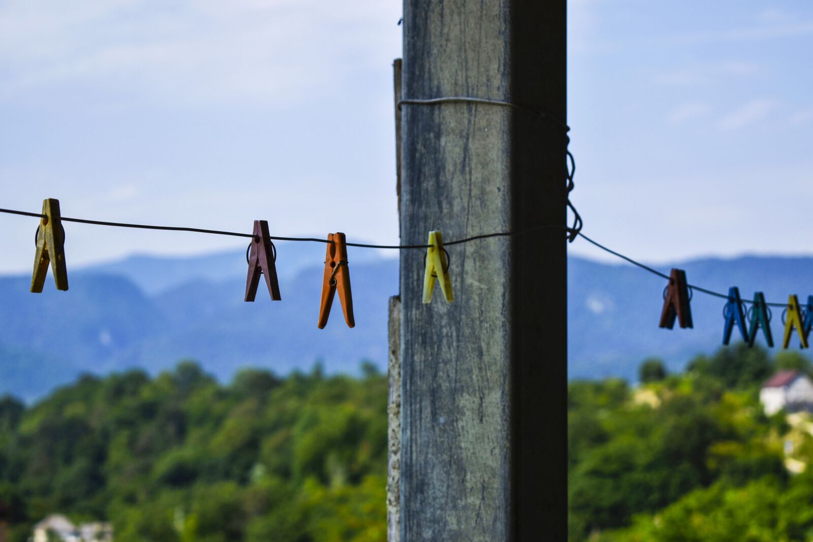 Nikon D5600 sample photo. Pins, mountain, summer photography