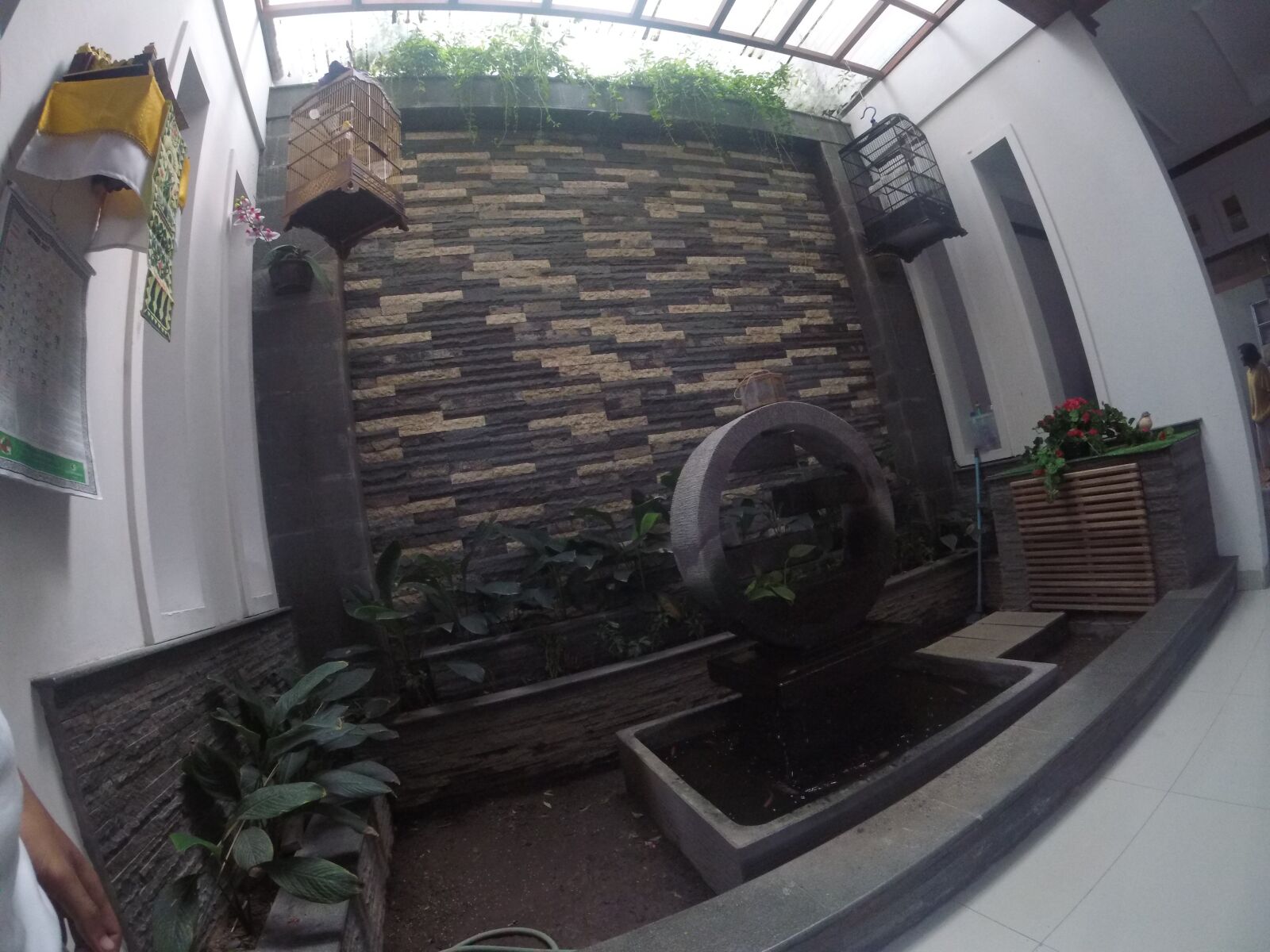 GoPro HERO5 Session sample photo. Fish pond, water, koi photography