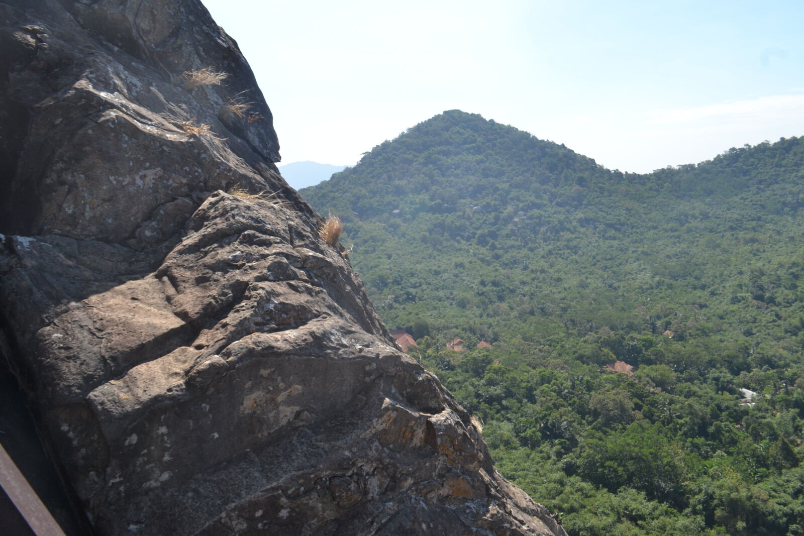 Nikon D3100 sample photo