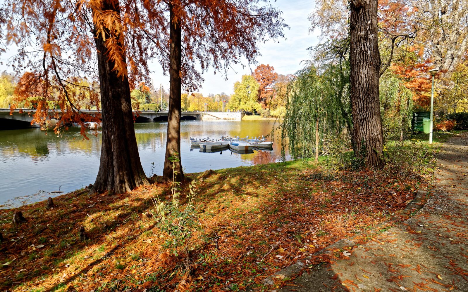Nikon D5300 sample photo. Landscape, nature, autumn photography