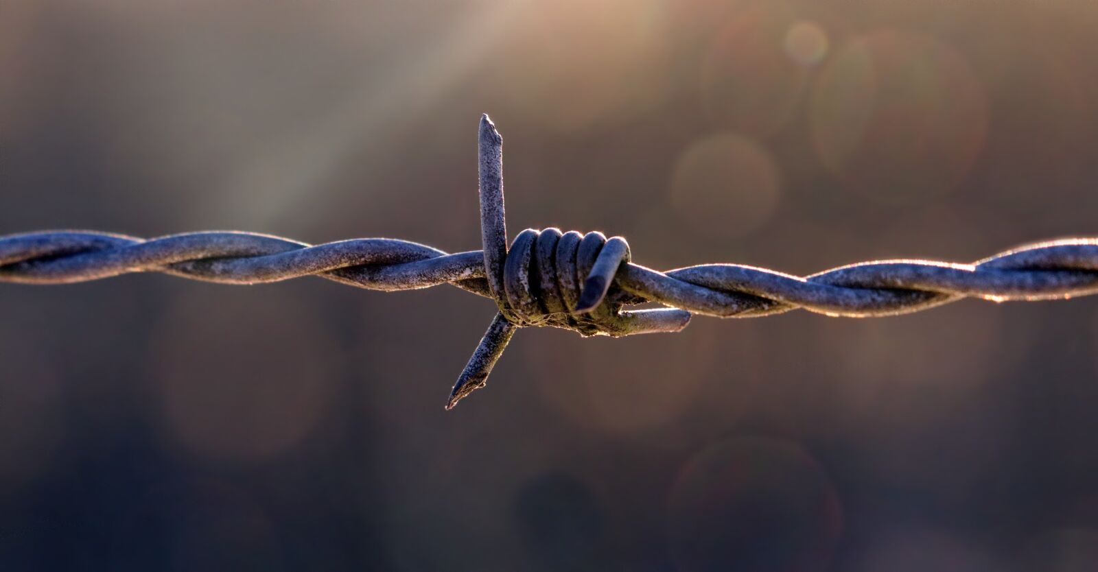 Canon EOS 80D sample photo. Pasture fence, barbed wire photography