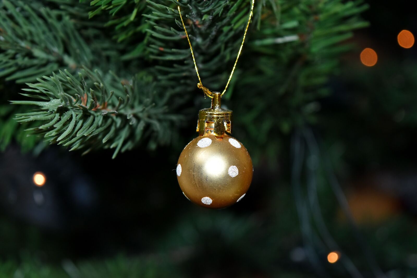 Nikon D5500 sample photo. Christmas tree, luxury, miniature photography