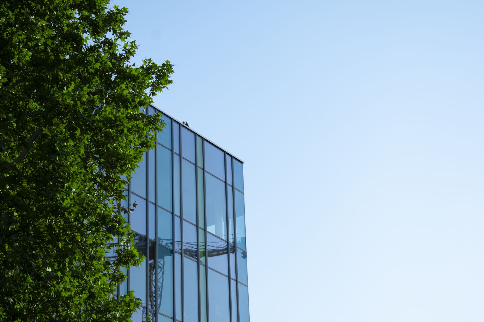 Nikon D5600 sample photo. Sky, building, blue photography