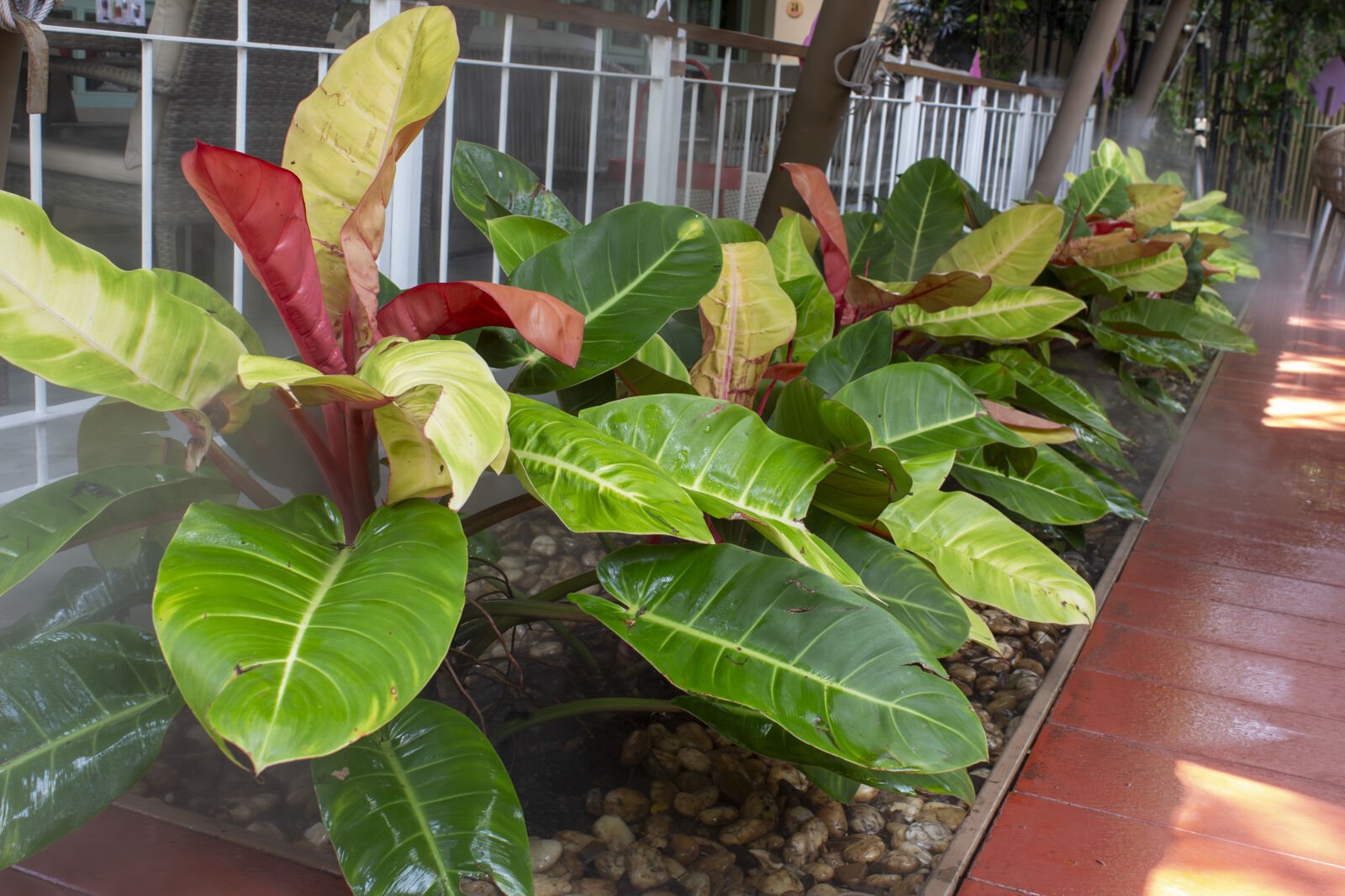 Canon EOS 700D (EOS Rebel T5i / EOS Kiss X7i) sample photo