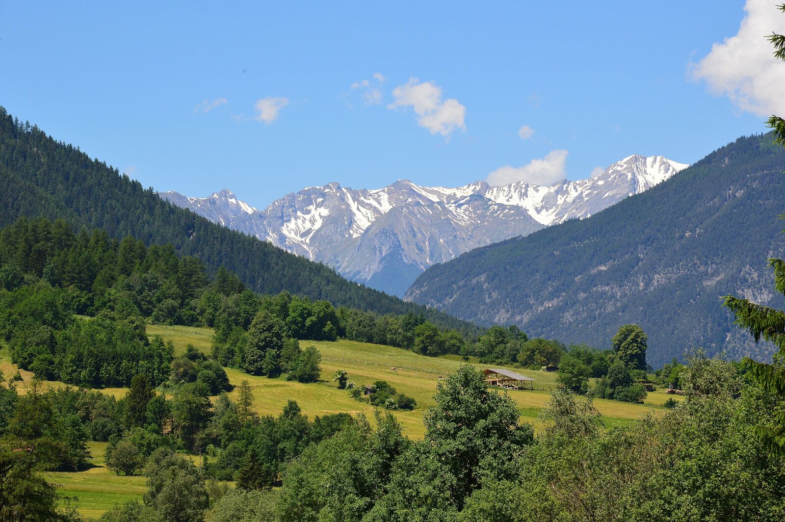 Nikon D3200 sample photo. Sautens, imst, summer photography