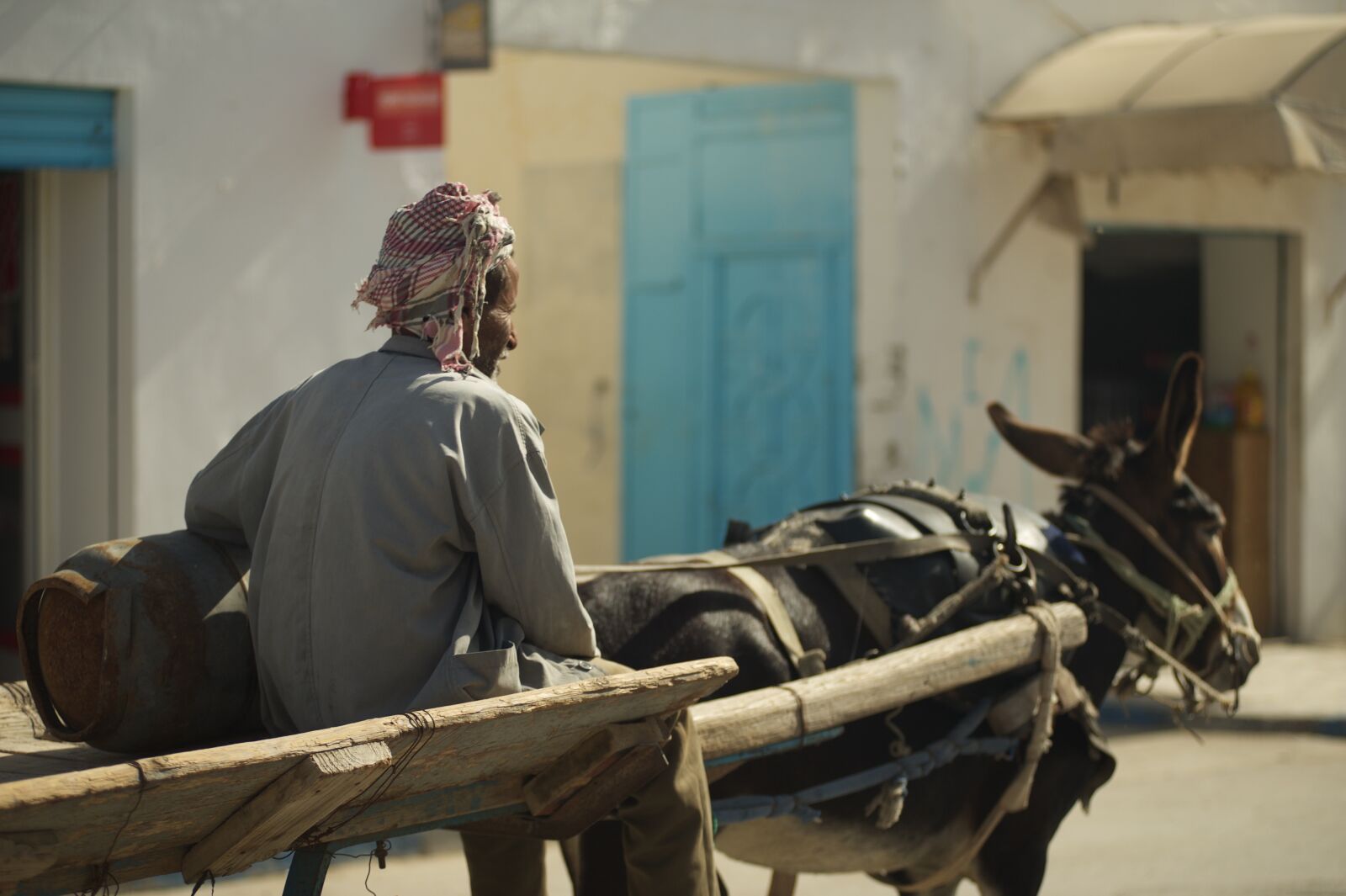 Nikon D700 sample photo. Tunisia, man, team photography