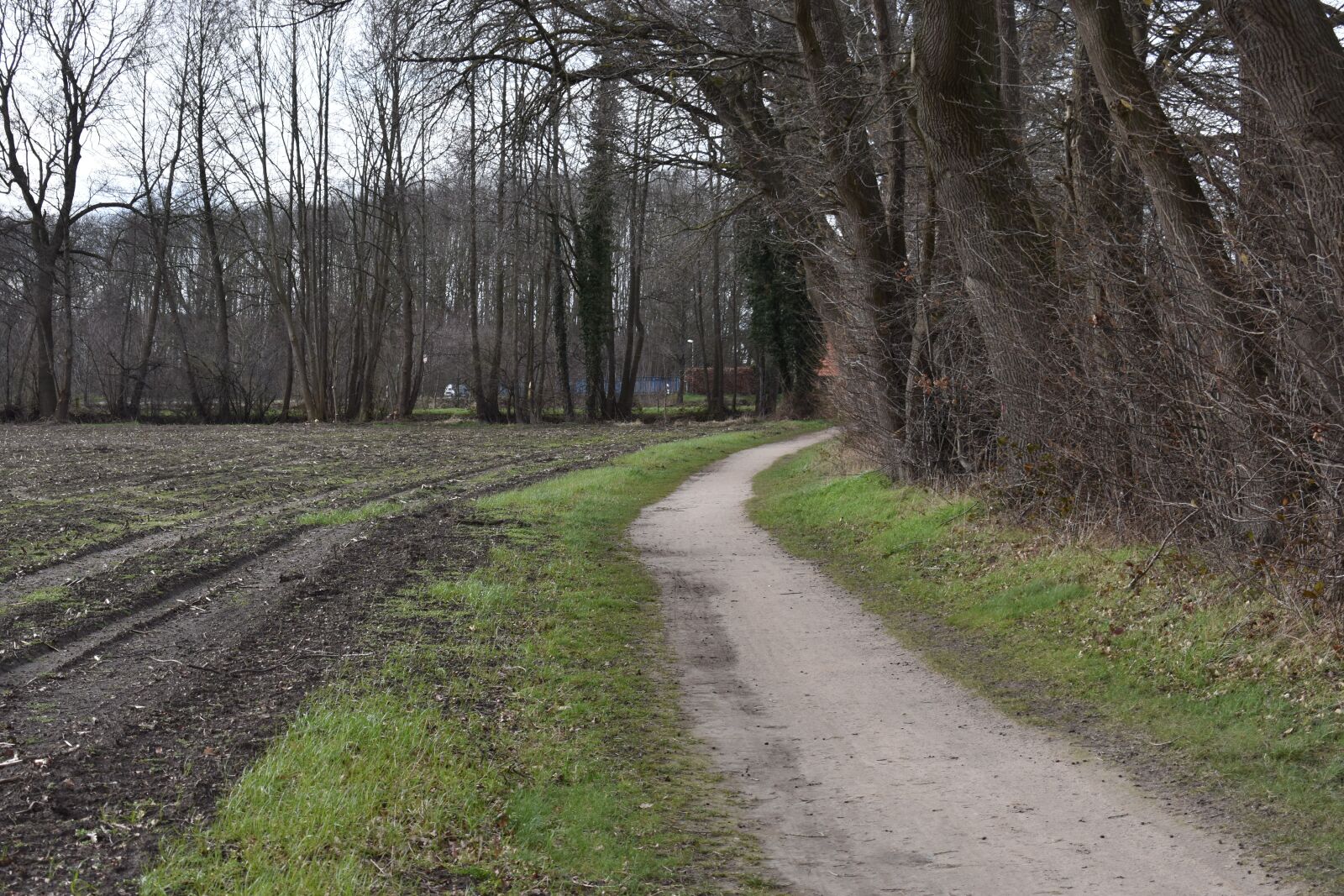 Nikon D3400 sample photo. History, lake, nature photography