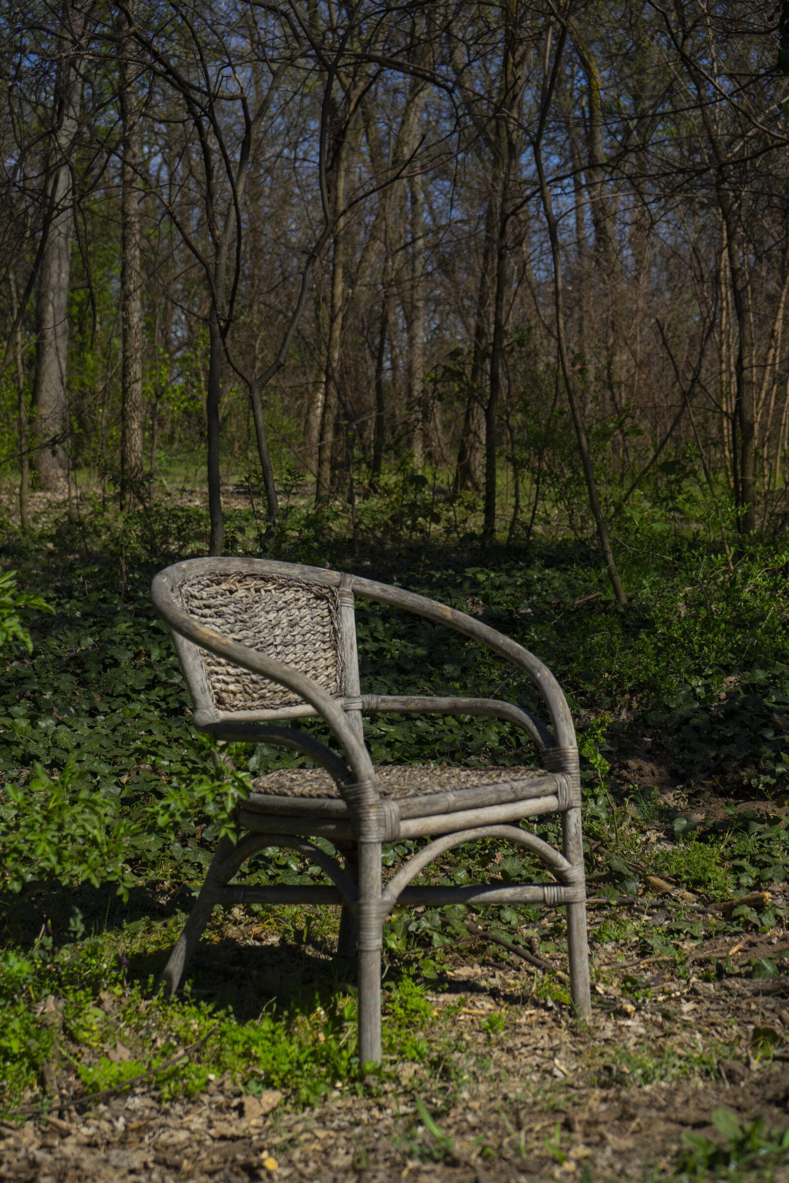 Sony a7 II + Sony FE 28-70mm F3.5-5.6 OSS sample photo. Chair, forest, background photography