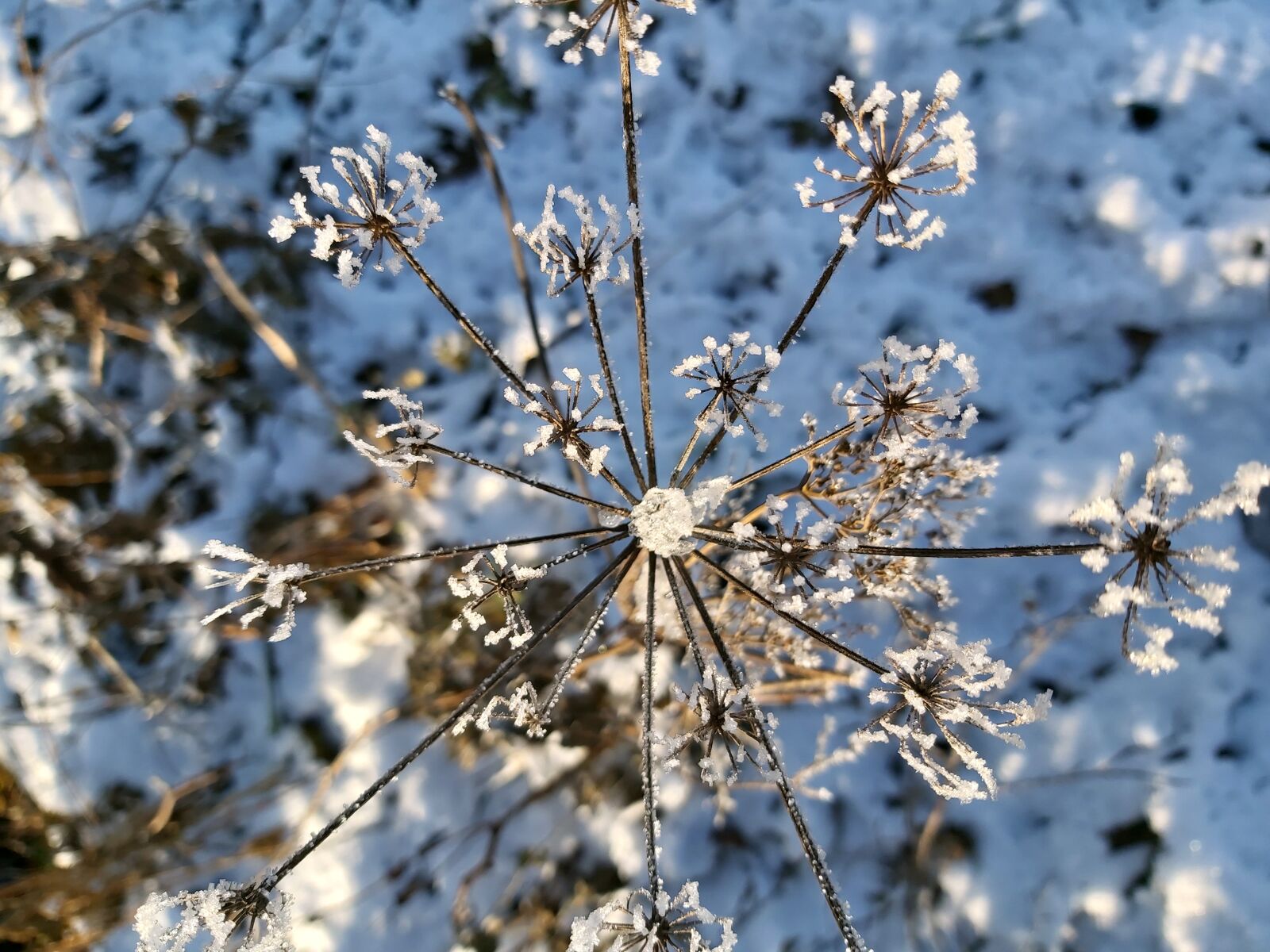Samsung Galaxy A70 sample photo. Snow crystals, winter, nature photography