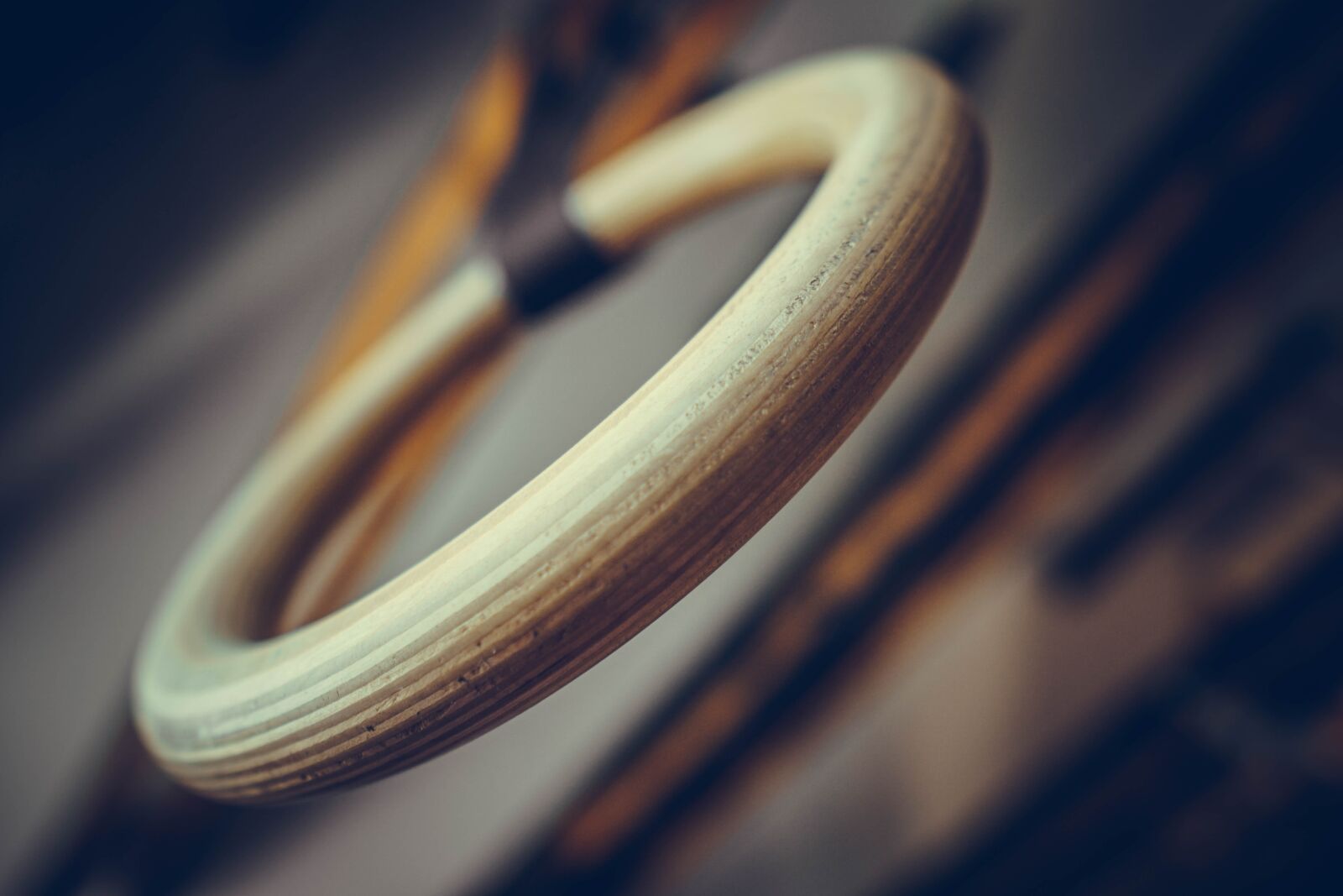 Sony a6400 + Sigma 16mm F1.4 DC DN | C sample photo. Fitness, exercise, circles photography