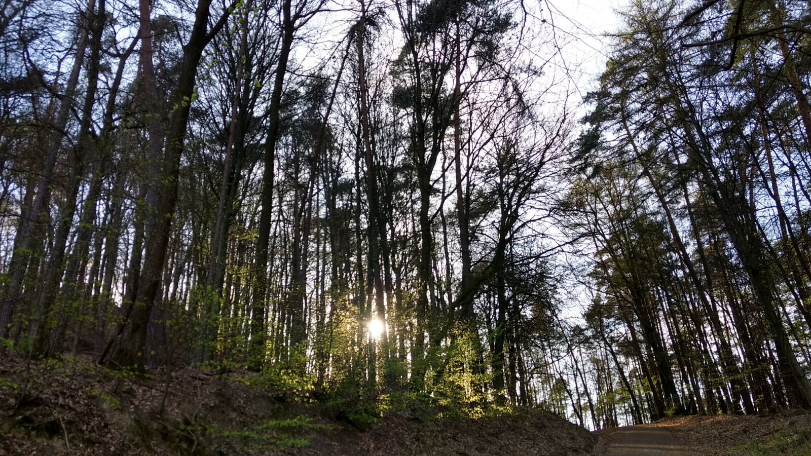 Motorola Moto G (4) sample photo. Evening light, sunset, w photography
