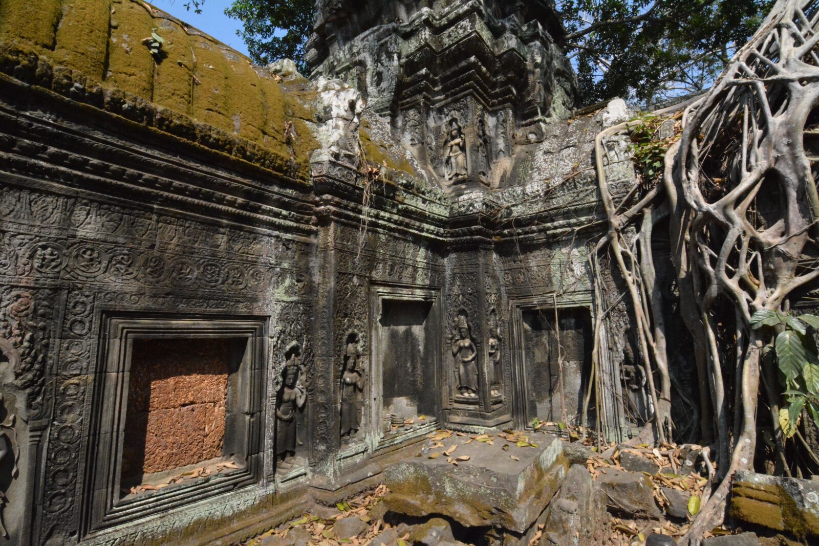 Nikon D7100 sample photo