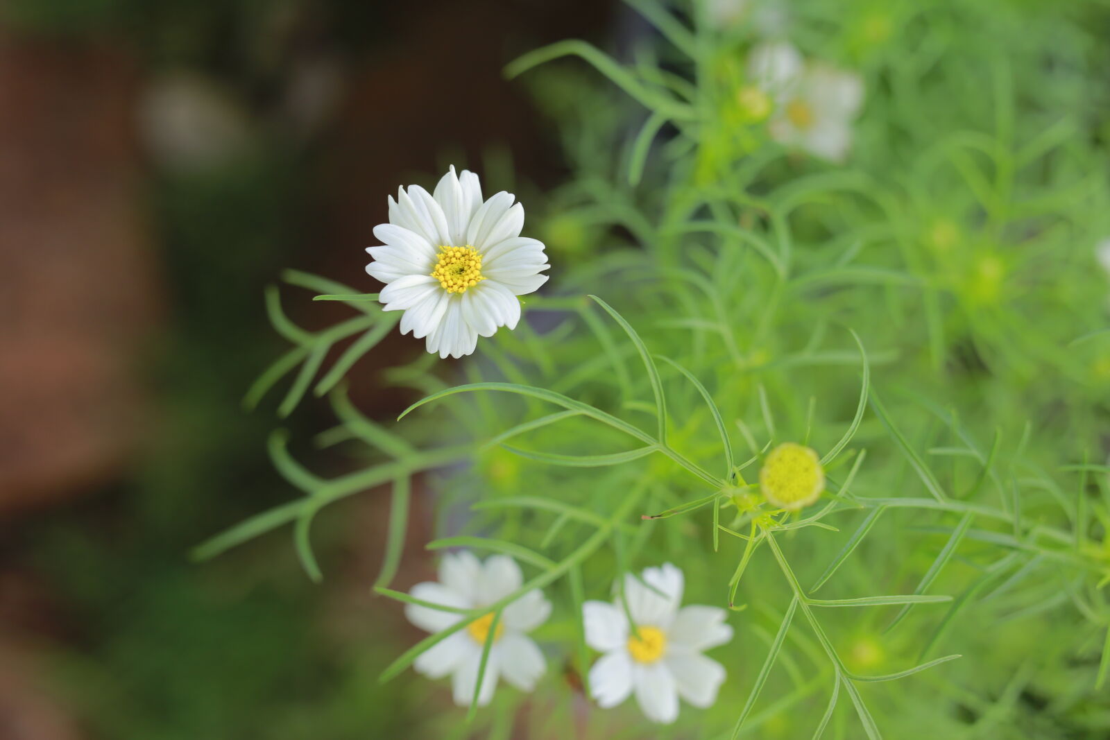 Canon EOS 6D sample photo