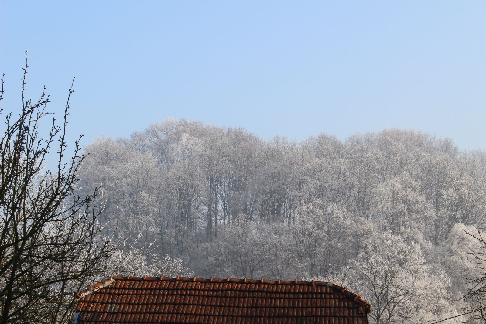 Canon EOS 100D (EOS Rebel SL1 / EOS Kiss X7) sample photo. Low, angle, view, of photography