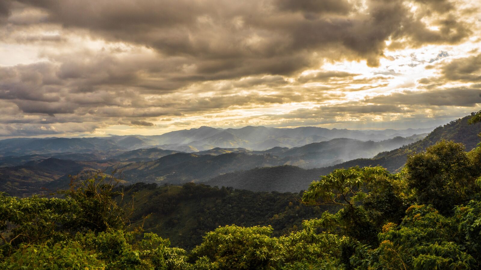 Sony Alpha a3000 + Sony E 18-55mm F3.5-5.6 OSS sample photo. Campos do jordao, mantiqueira photography
