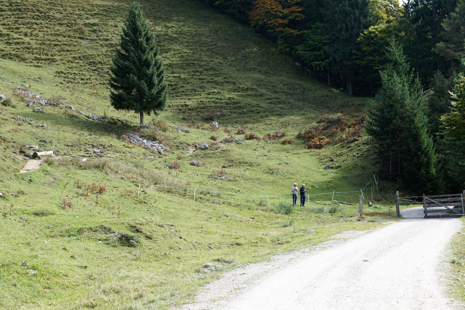 Sony ILCA-77M2 + Sony DT 16-50mm F2.8 SSM sample photo. Alm, austria, wilder photography