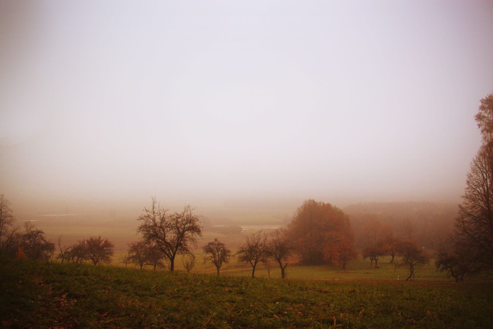 Canon EOS 500D (EOS Rebel T1i / EOS Kiss X3) sample photo. Autumn, nature, landscape photography