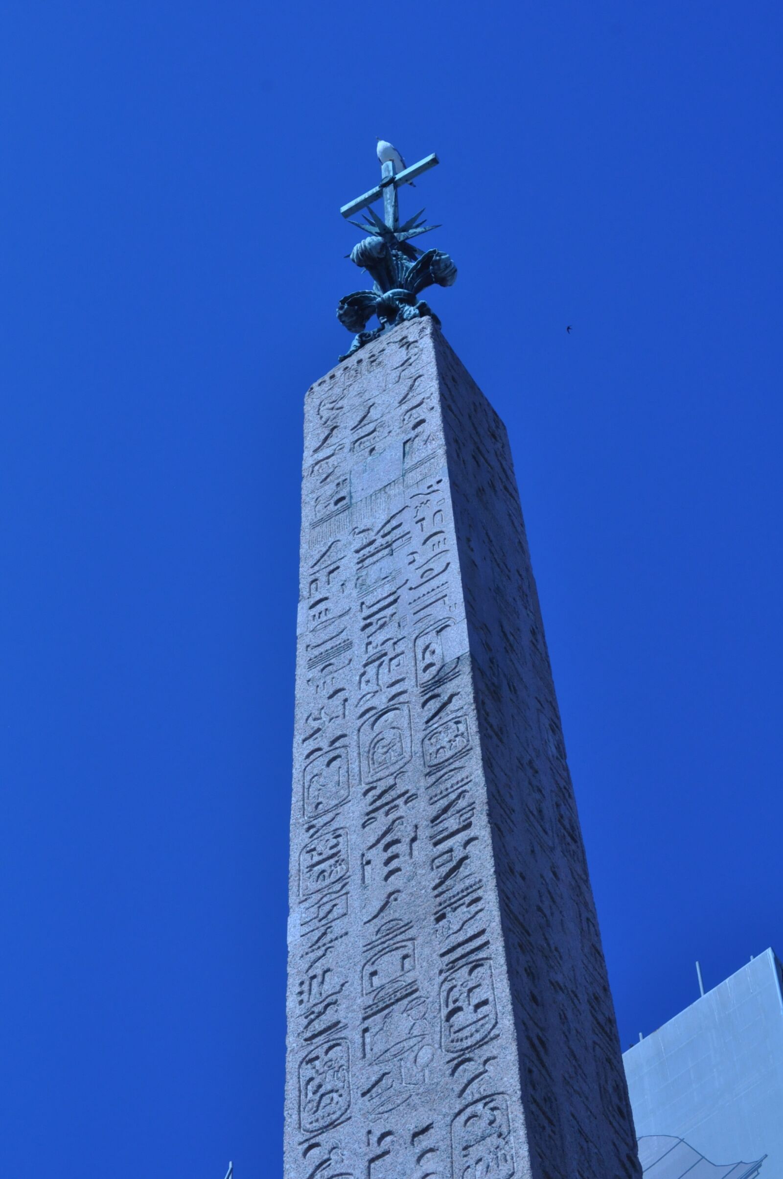 Nikon D5000 sample photo. Rome, monument, monuments photography