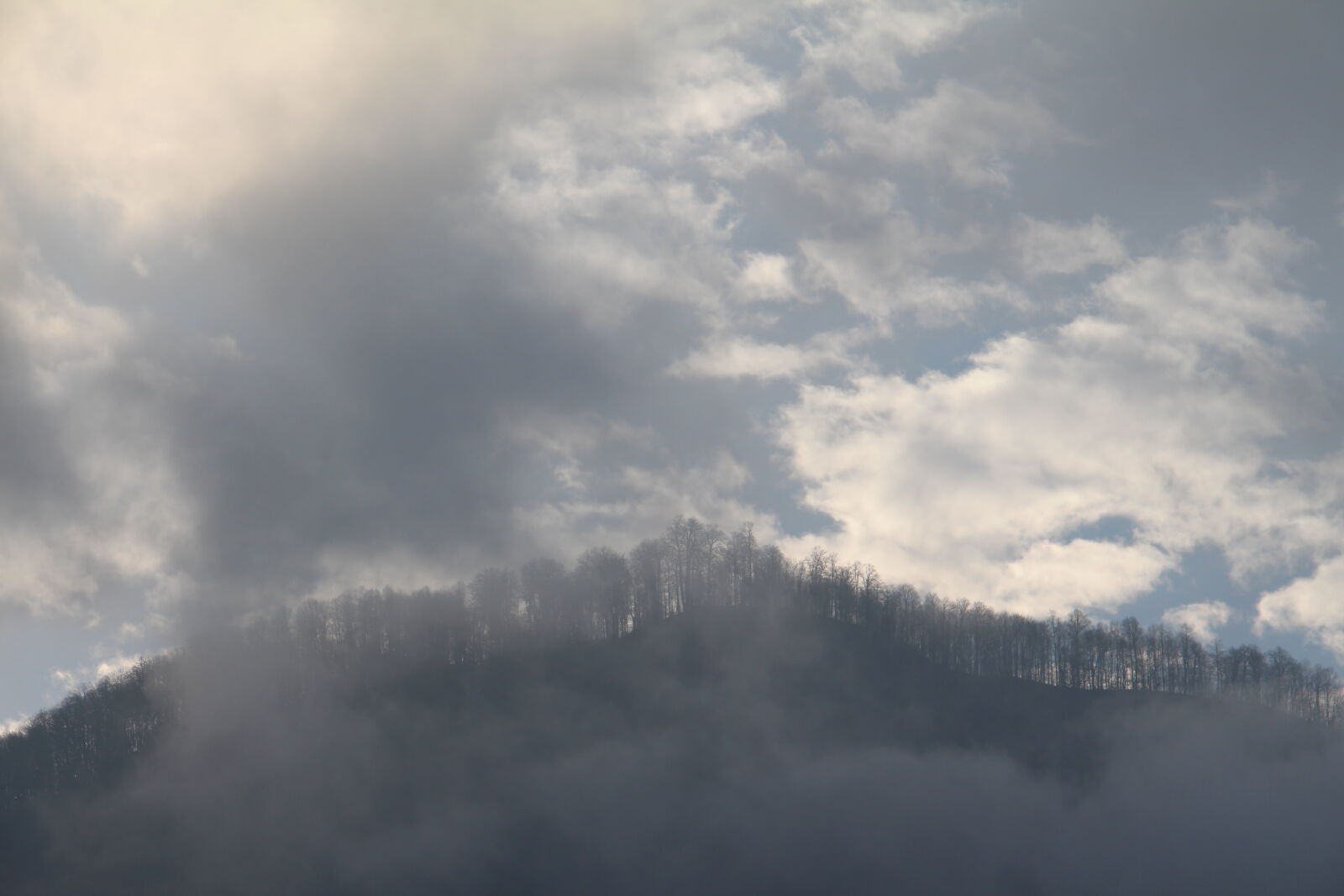 Canon EOS 700D (EOS Rebel T5i / EOS Kiss X7i) sample photo. Mazandaran, iran photography