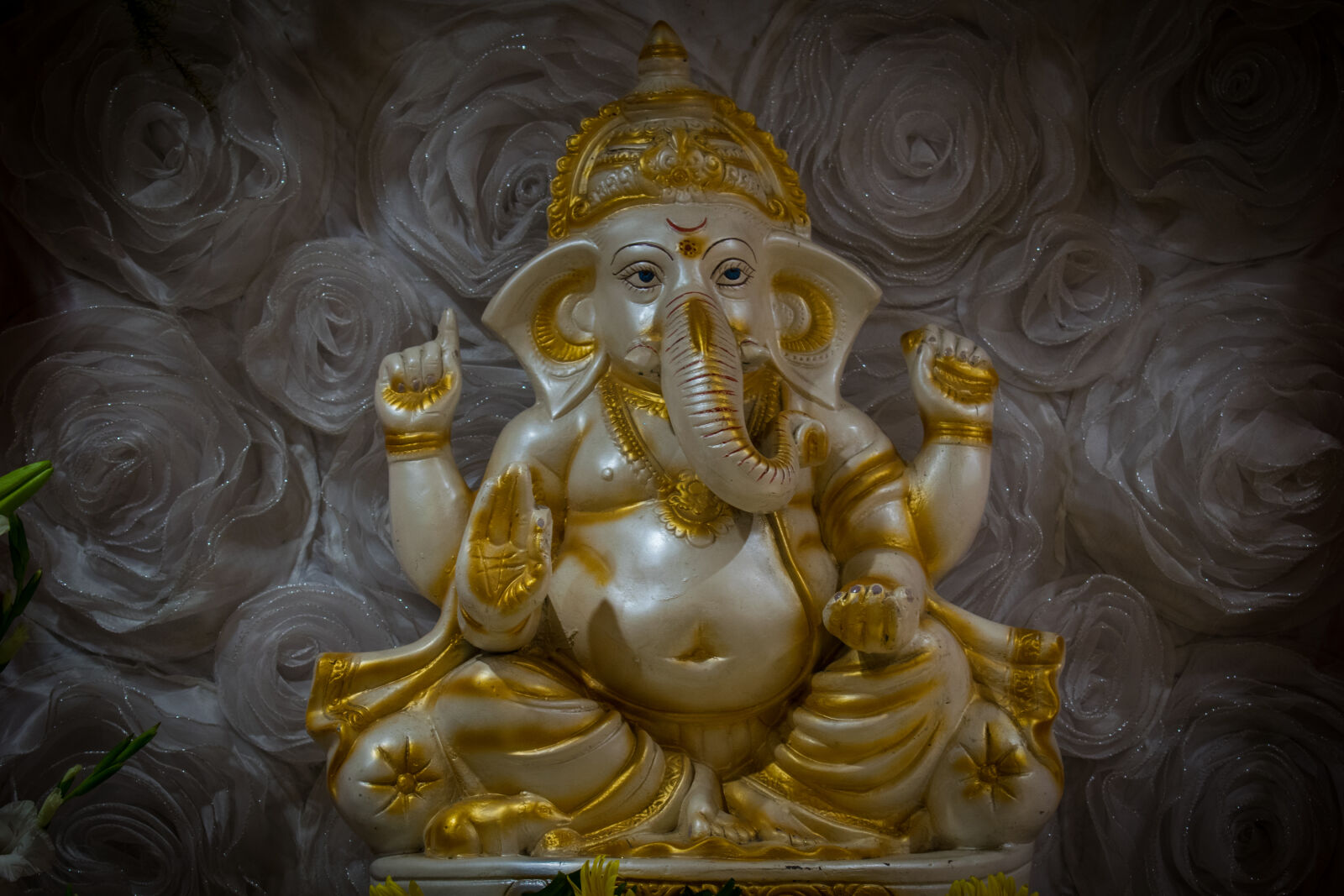 Nikon D3300 sample photo