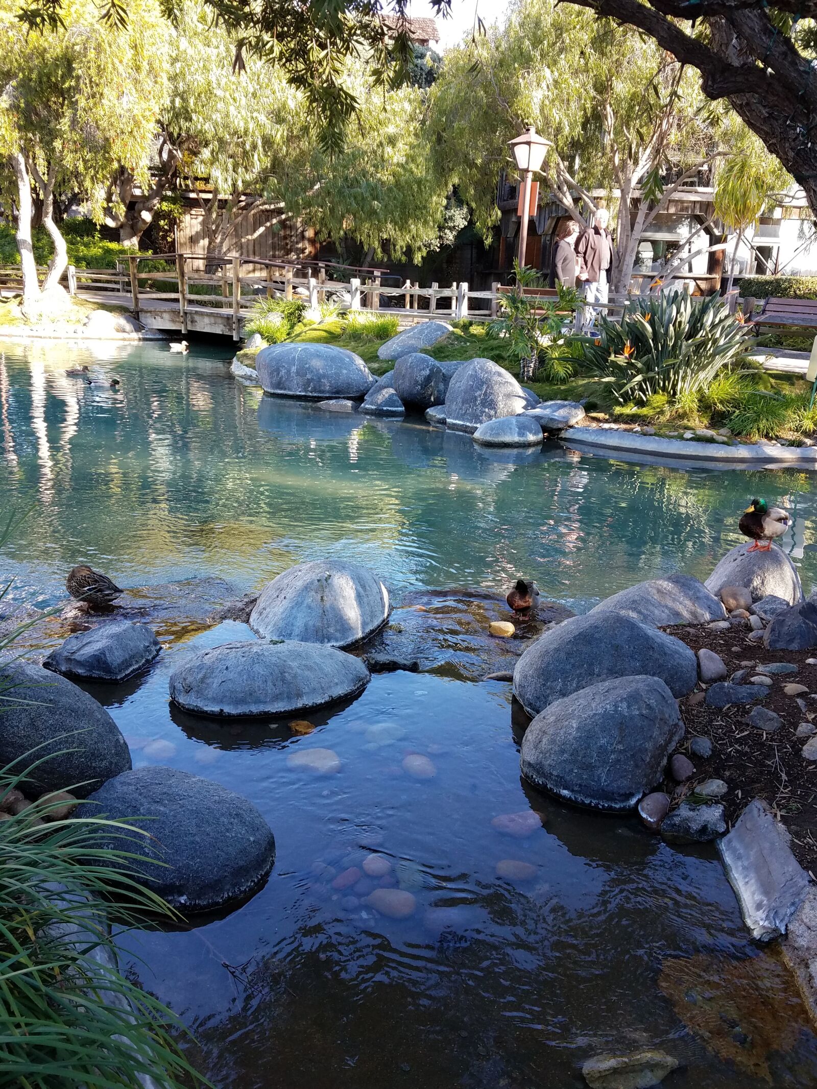 Samsung Galaxy S7 Edge sample photo