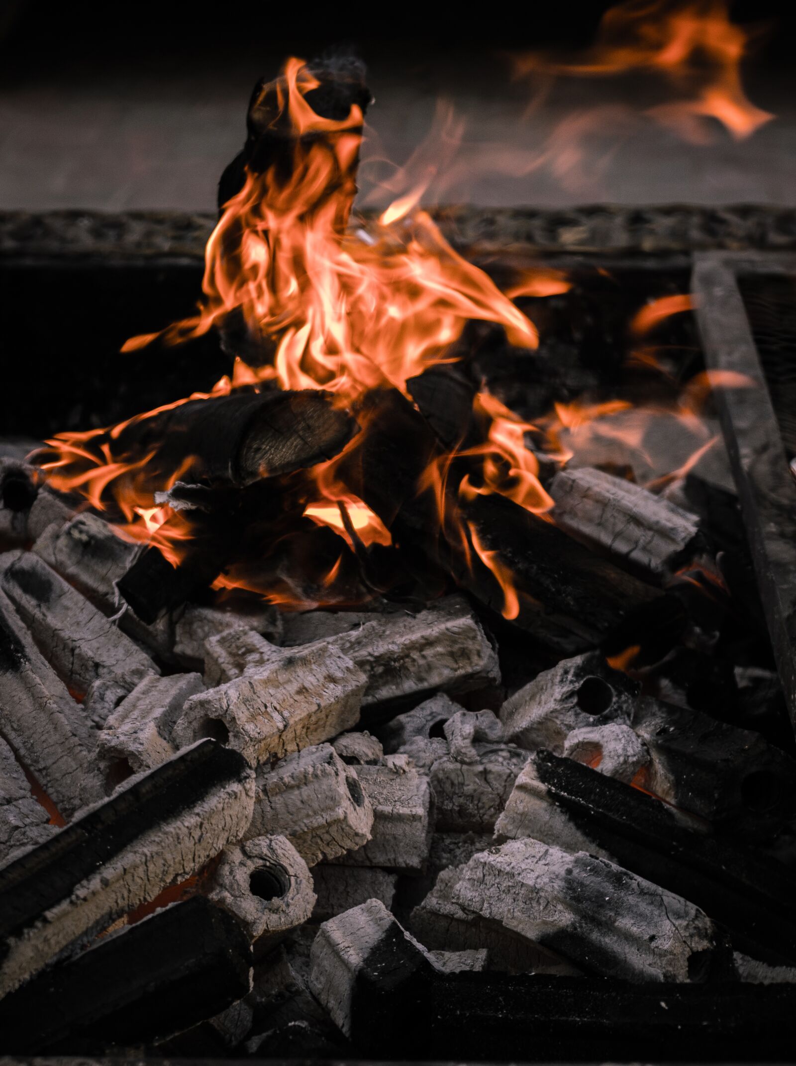Canon EOS 600D (Rebel EOS T3i / EOS Kiss X5) + Canon EF 50mm F1.8 II sample photo. Fire, coal, burn photography