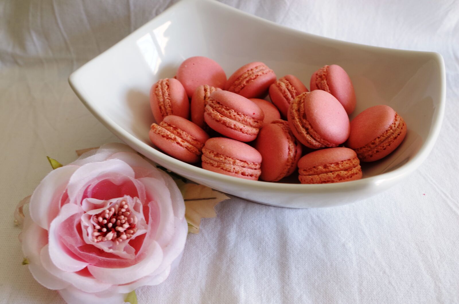 Pentax K-50 sample photo. Macaron, pink, rosa photography