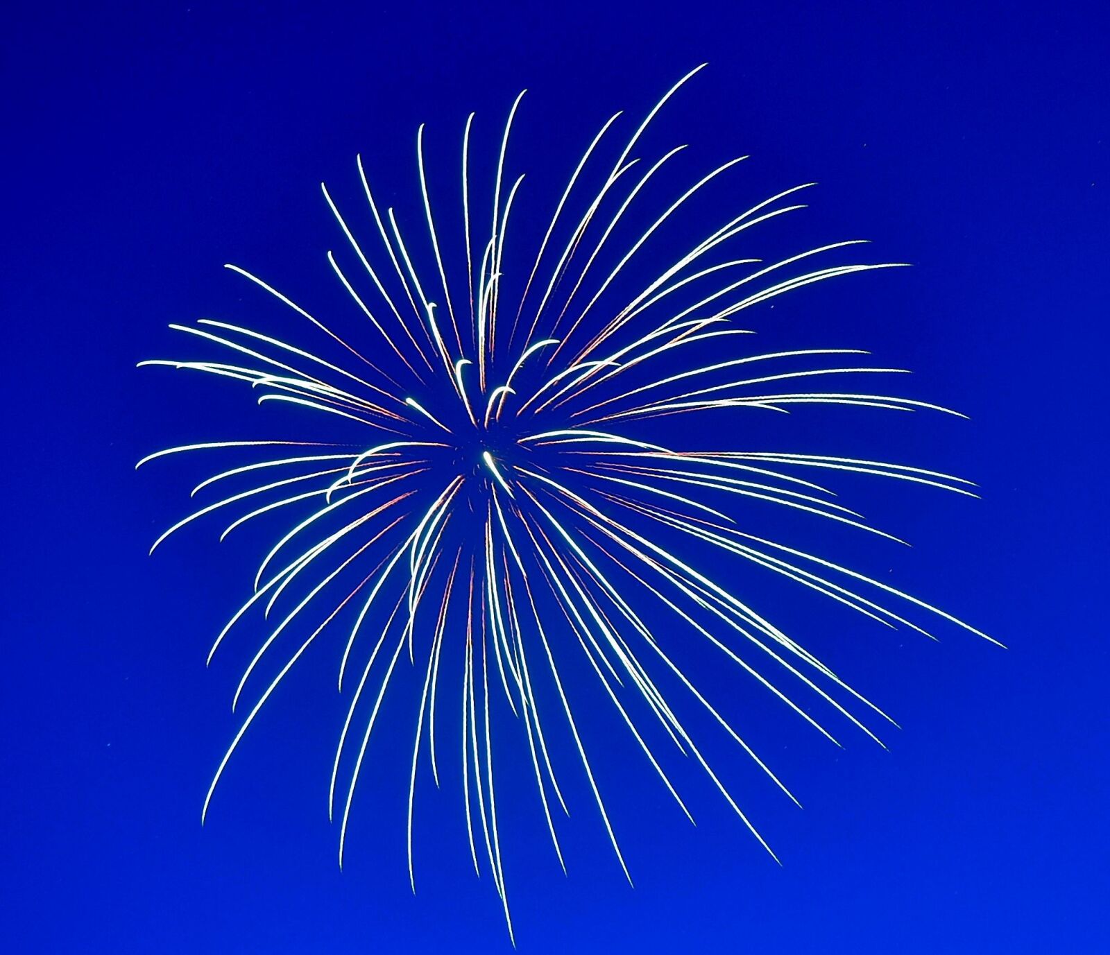 Nikon D3100 sample photo. Fireworks, celebration, happy photography