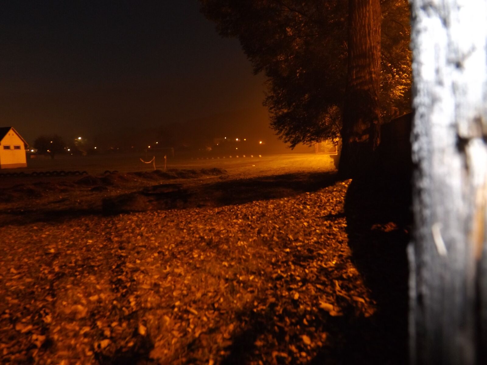 Fujifilm FinePix SL300 sample photo. At night, autumn, leaves photography