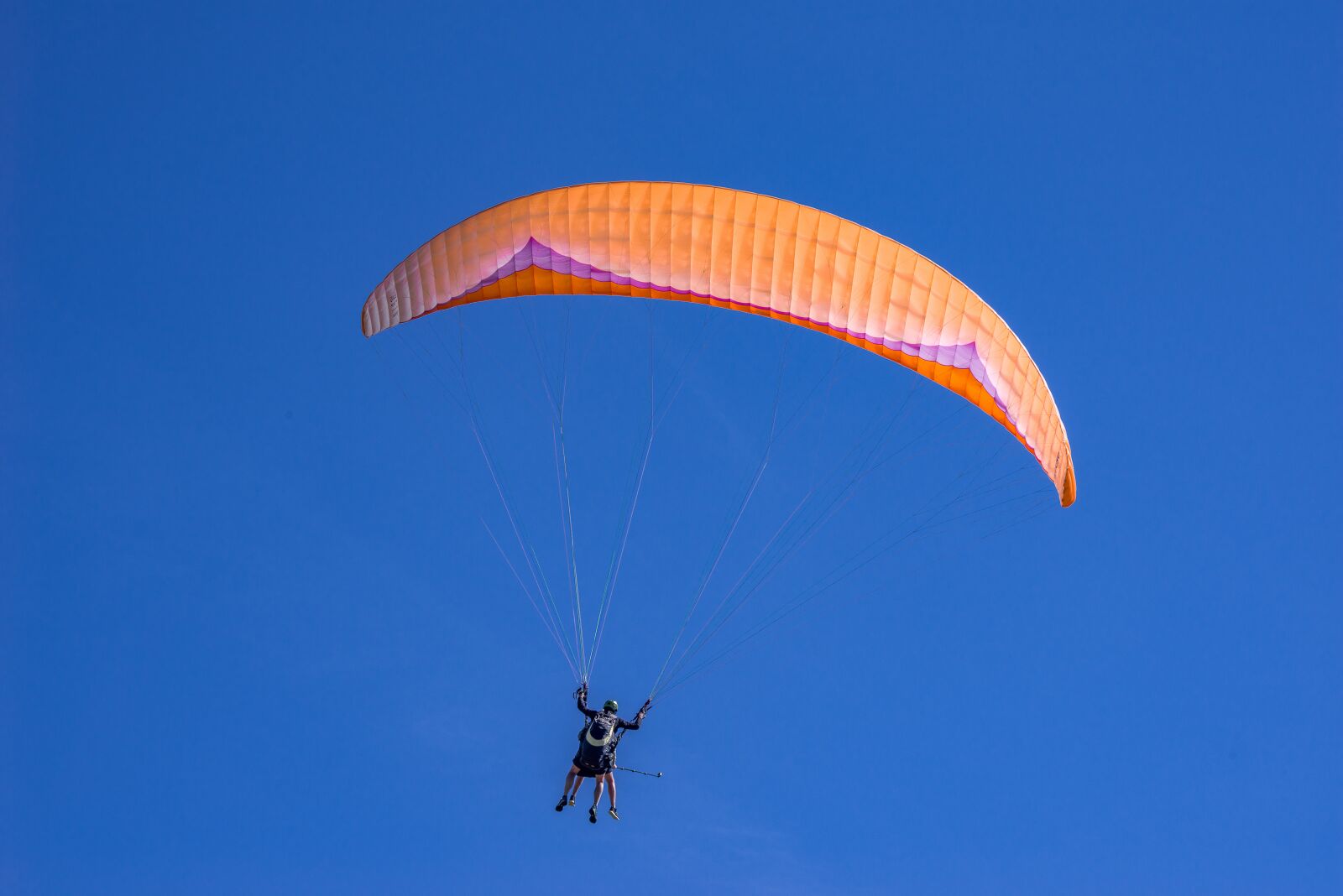 Pentax K-1 Mark II + Sigma sample photo. Paraglide, gliding, paraglider photography