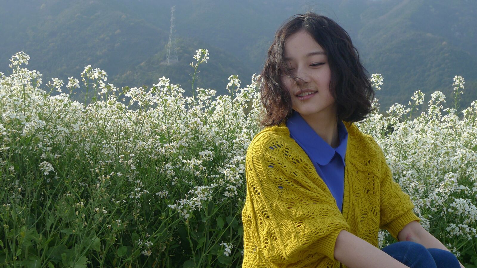 Panasonic Lumix DMC-LX3 sample photo. Nature, summer, lawn photography